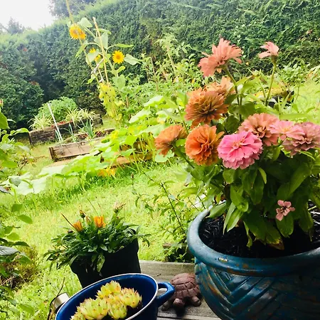 Escapade Au Bord De La Lägenhet *